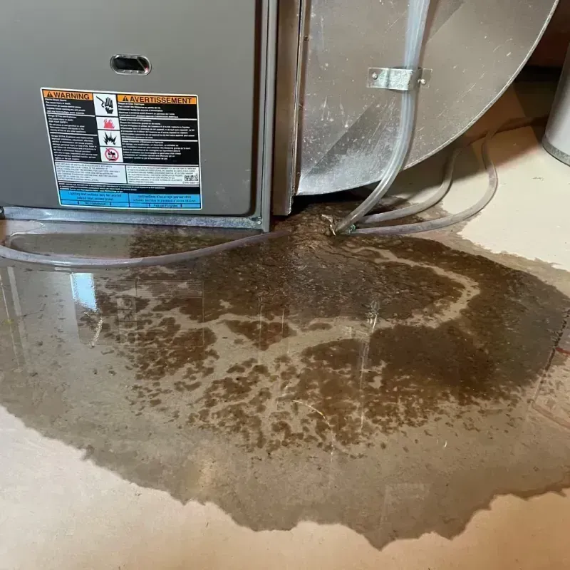 Appliance Leak Cleanup in Stickney, IL